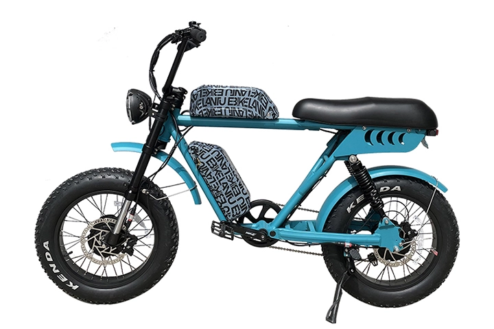 Electric Fat Tire Bike 