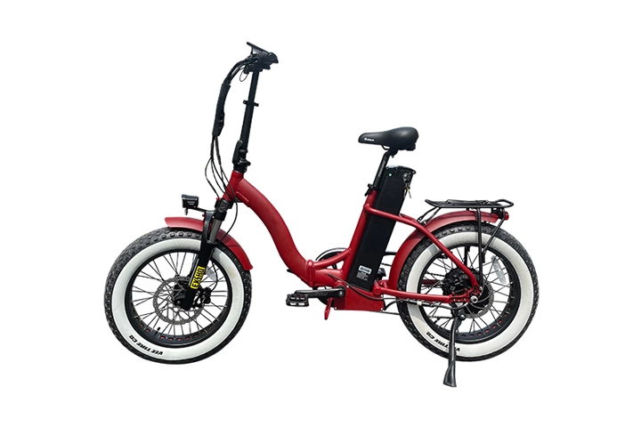 20 Inch Fat Tire 52V Electric Bike