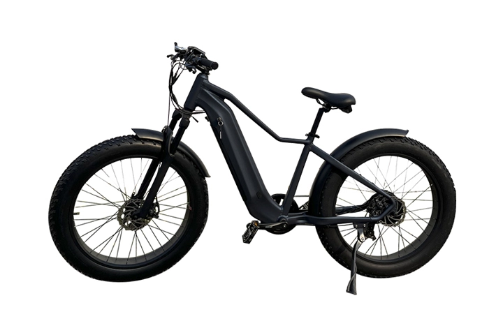 Fat Tire Electric Mountain Bike-2.webp