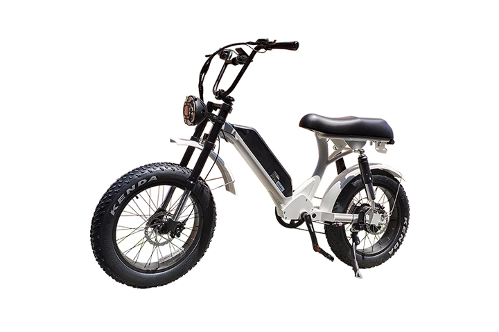 Fat Tire Electric Bike for Sand - Step Through Model