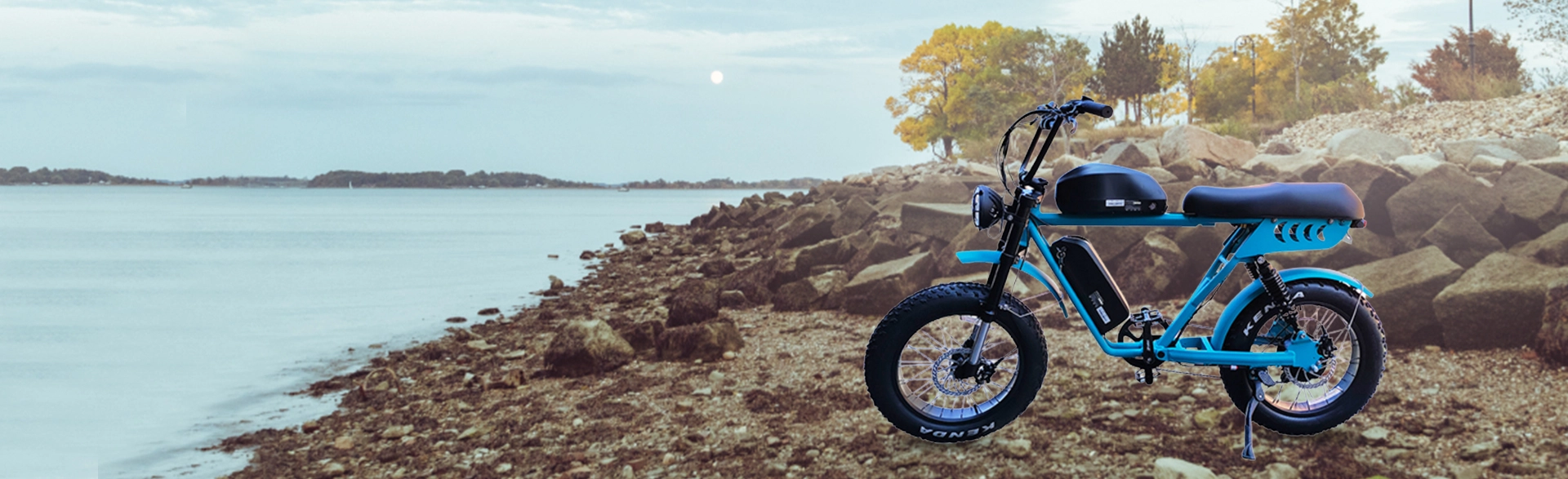 Dual Battery Fat Tire Electric Bike