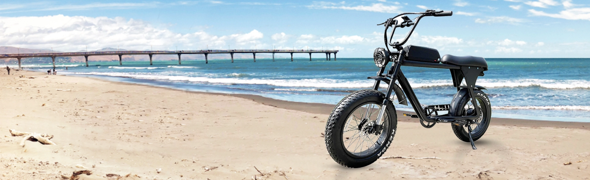 750W Moped Style Electric Bike - Powerful eBike Solution