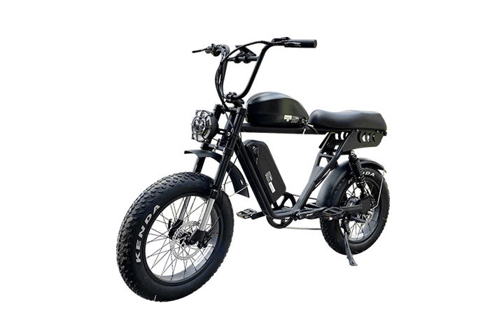 Dual Battery Fat Tire Electric Bike-3.webp