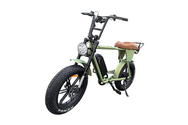 750W Moped Style Electric Bike - Powerful eBike Solution
