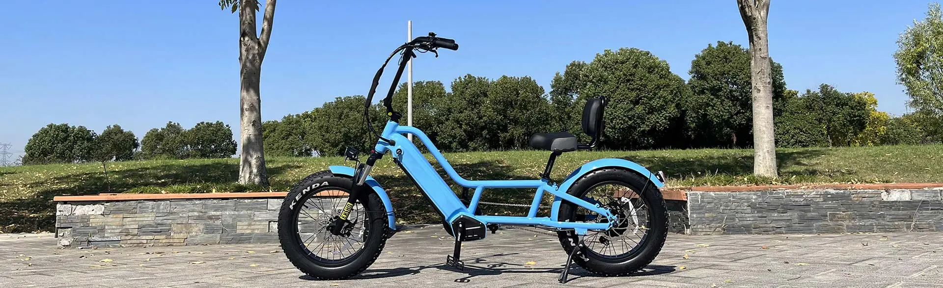 Electric Recumbent Bicycle - Comfort & Ease Redefined