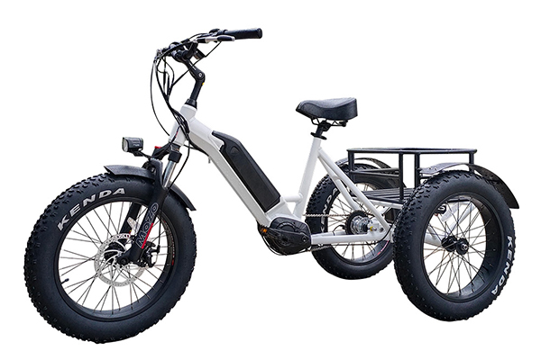 Electric tricycle