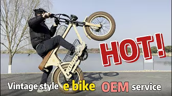 Vintage style e bike with OEM service