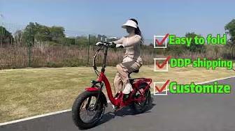 Step Thru Fat Tire Folding E Bike