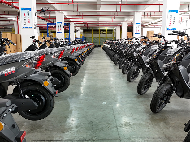 Gallery-Custom Electric Bike (5).jpg