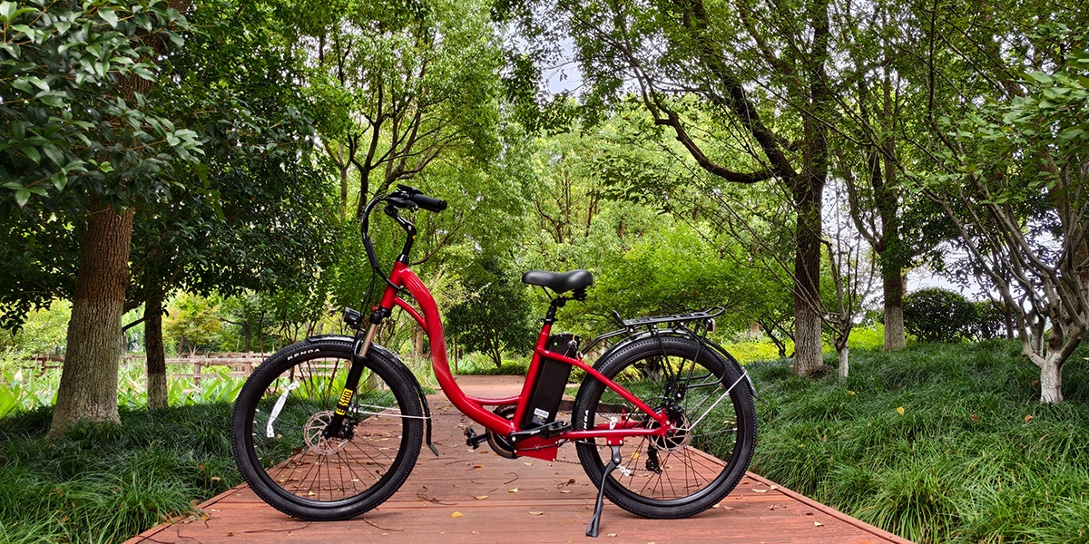 electric power-assisted bicycle-2.png