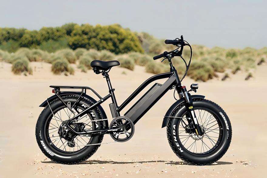 electric bike for heavy riders (1).jpg