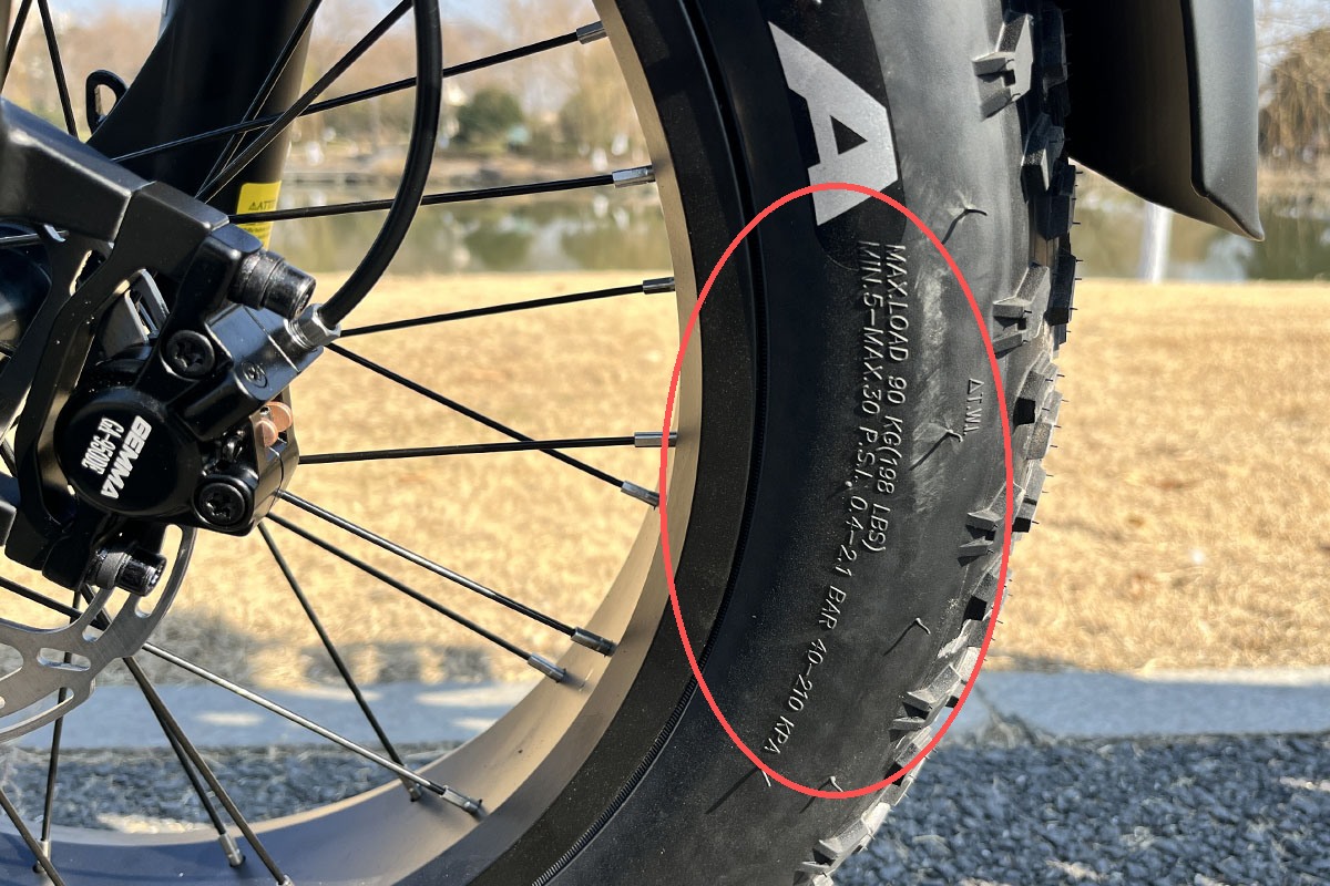 electric bicycles.png