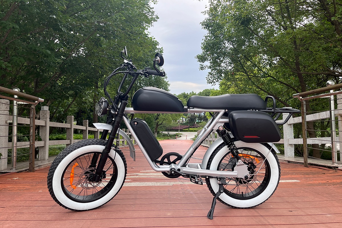 e bike.png
