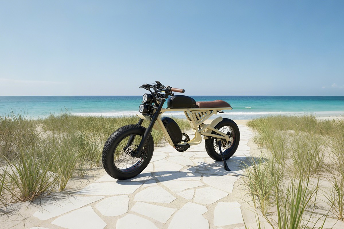 Global Ebike Market Insights Report.png