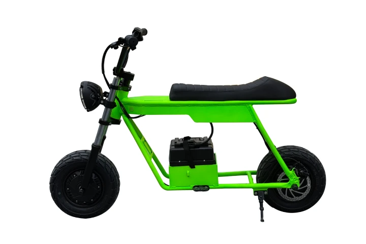 Electric Mini Bike