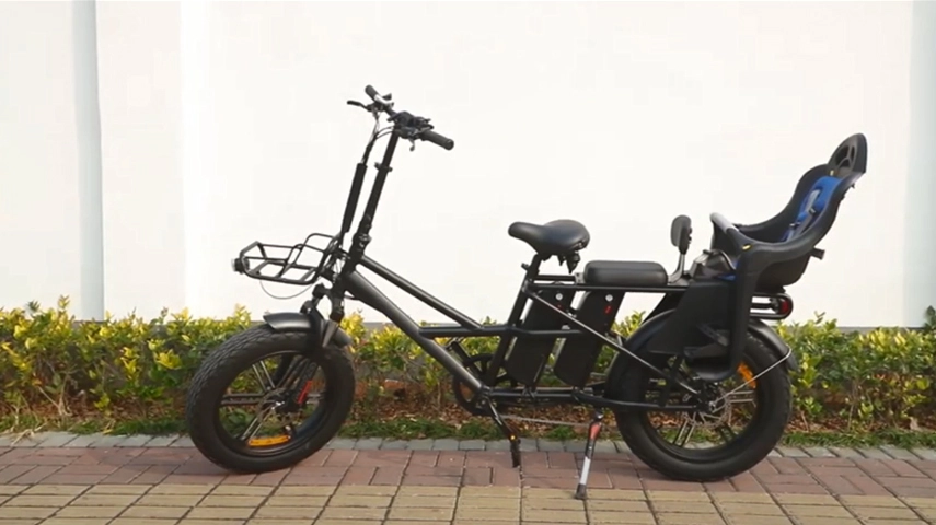 2022 New Arrival Dual Battery Family Cargo Electric Bike with Baby Seat