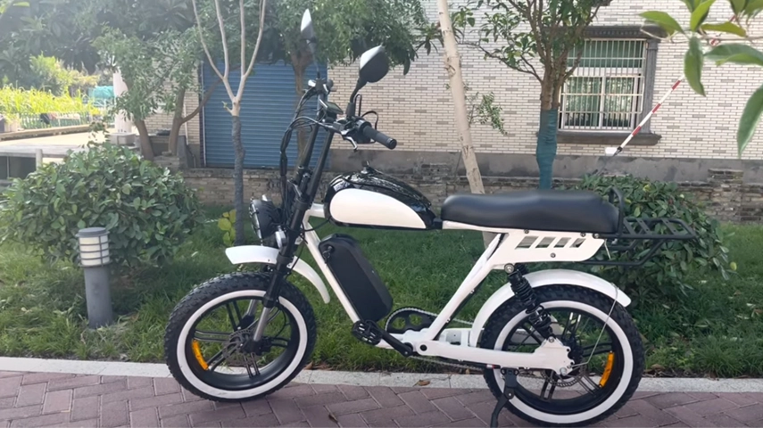 48V 1000W Bafang Motor Full Suspension Electric Fat Bike with Torque Sensor Manufacturer in China