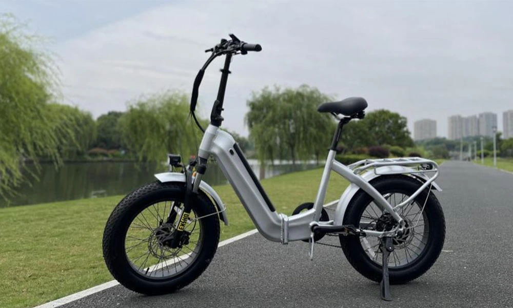 Choosing the Right Sensor for Your E-Bike