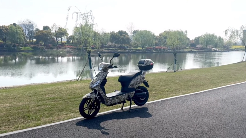 EEC COC Electric Moped Review