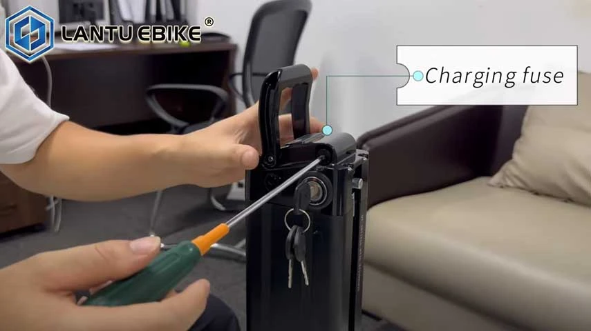 How to detect ebike silver fish battery？