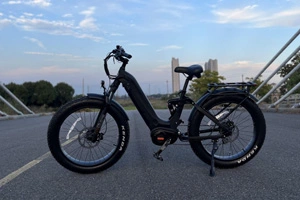 Global Electric Bicycle Market Trends and Demand