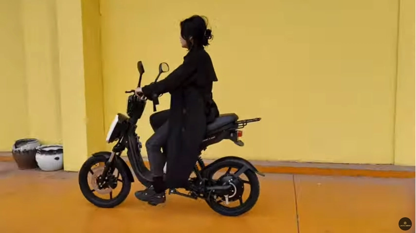Hot Selling Electric Pedal Assist Bicycle