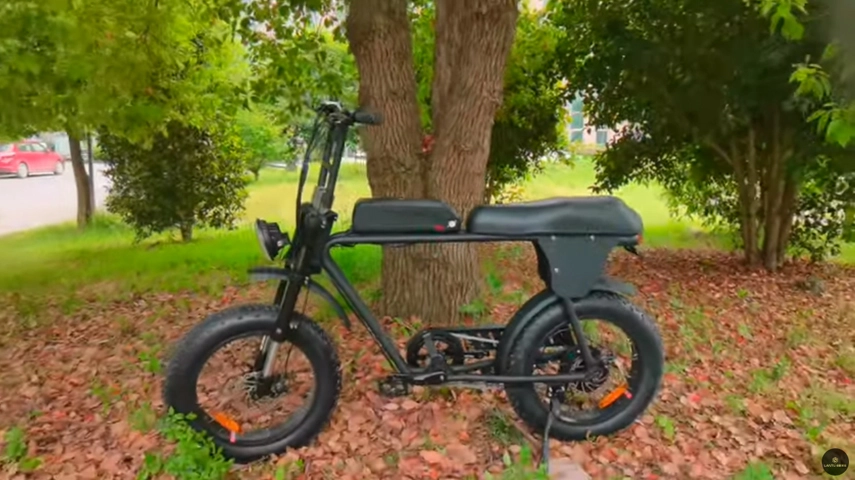 Hot Selling Pedal Assisted Electric Bicycle with Fat Tires