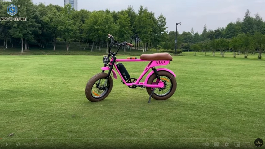Top Selling Moped Style 20 Inch Ebike