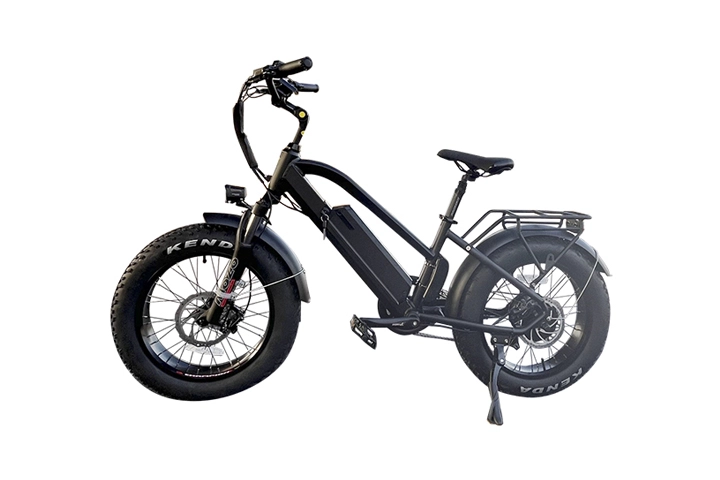 20 inch fat tire electric bike