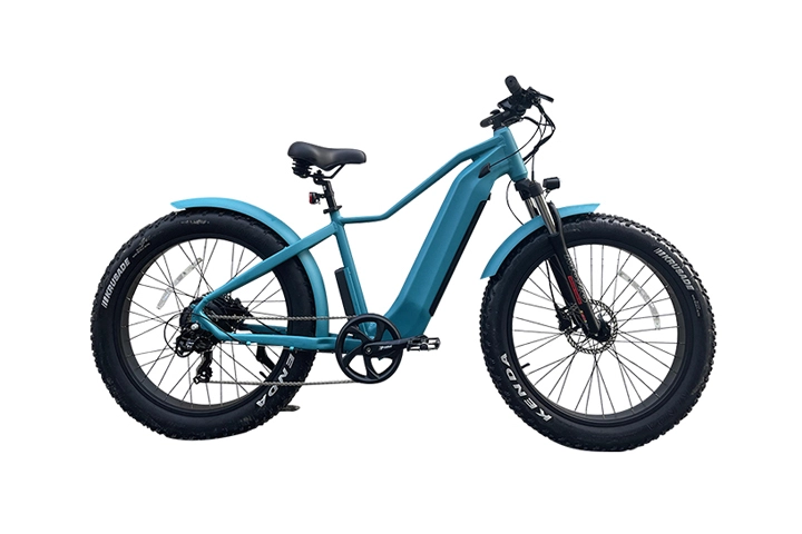 e mtb fat bike