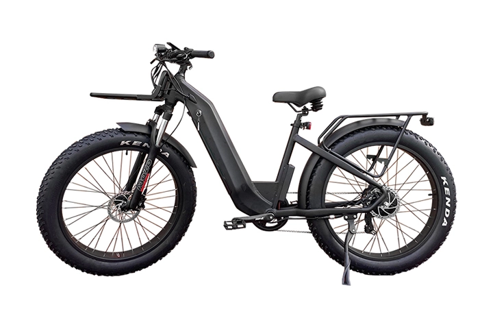 750W bicicleta de montaña eléctrica