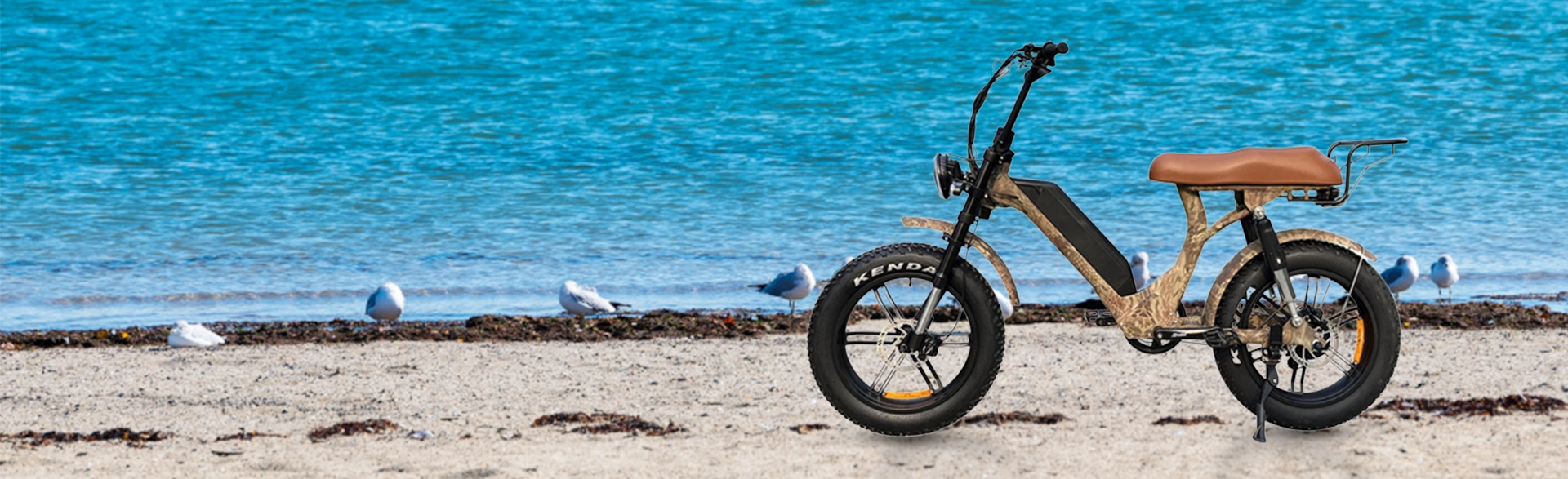 Bicicleta eléctrica Lantu