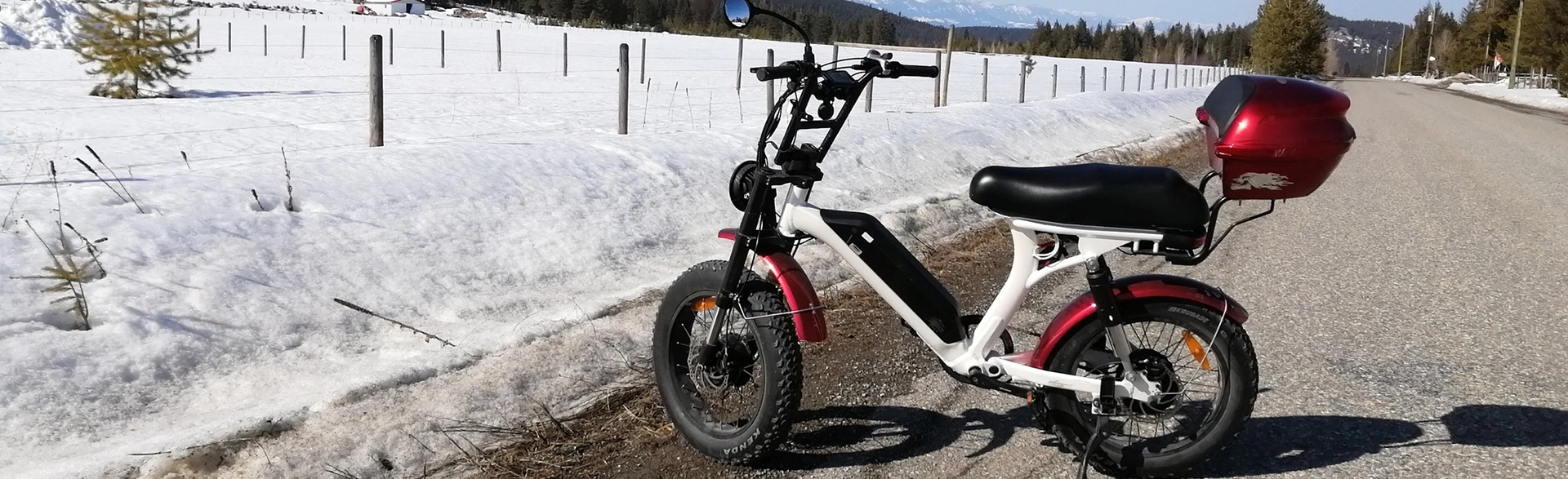 Bicicleta eléctrica Lantu