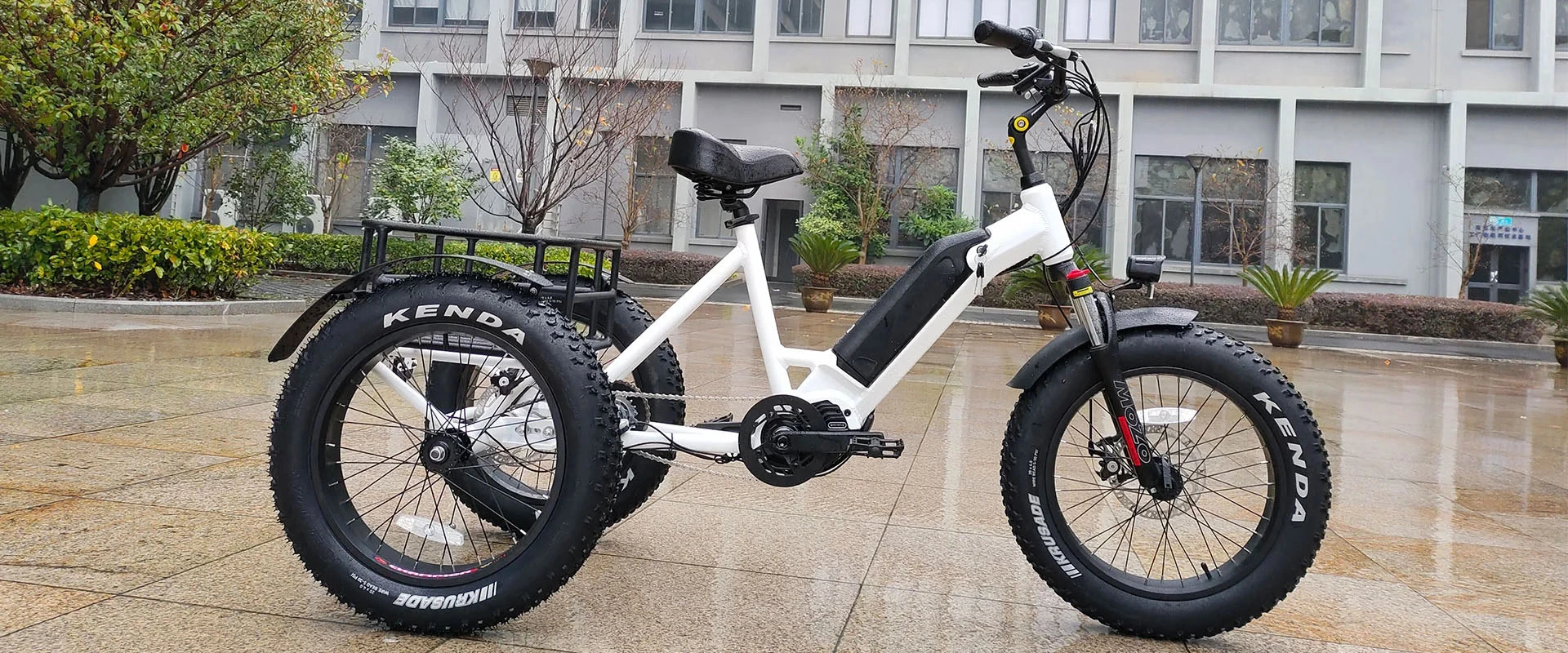 Bicicleta de carga eléctrica de 3 ruedas