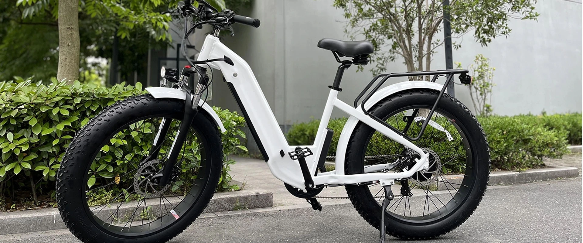 750W bicicleta de montaña eléctrica