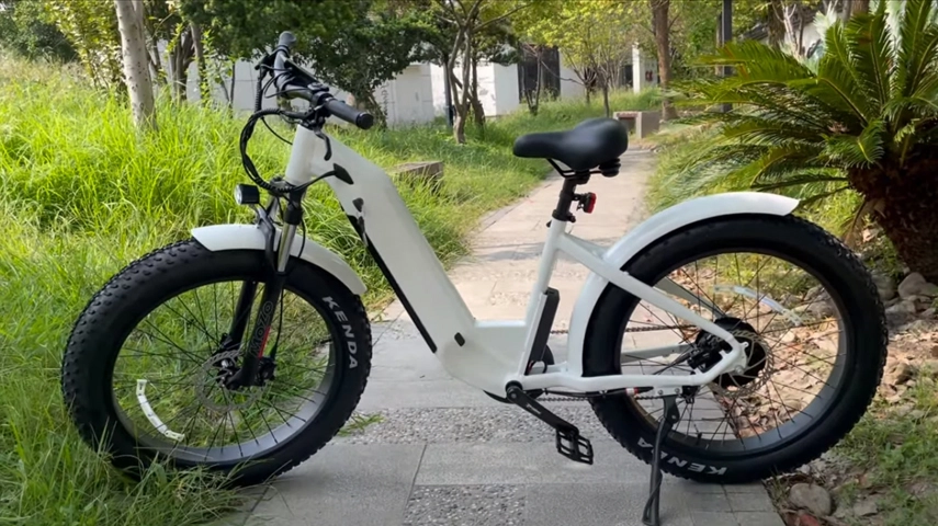 China mejor paso a través de la bicicleta eléctrica de la grasa para las señoras