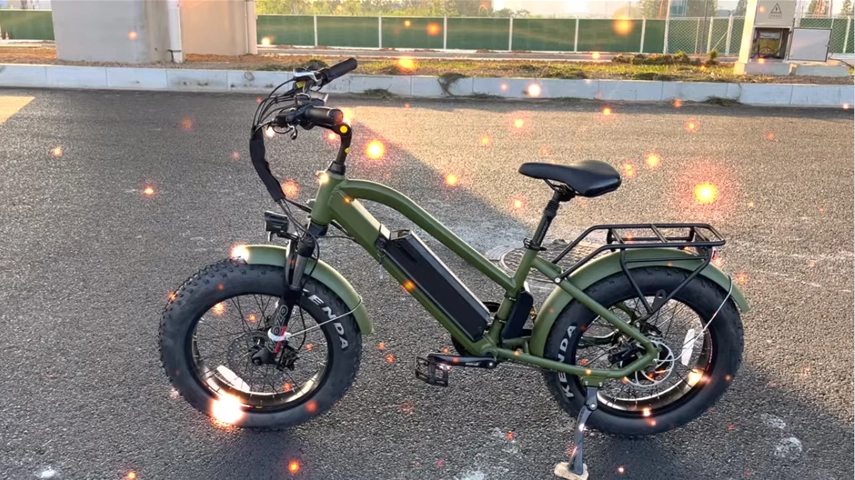 Bicicleta eléctrica para mujer, de 20 pulgadas, 750W, con neumáticos gordos