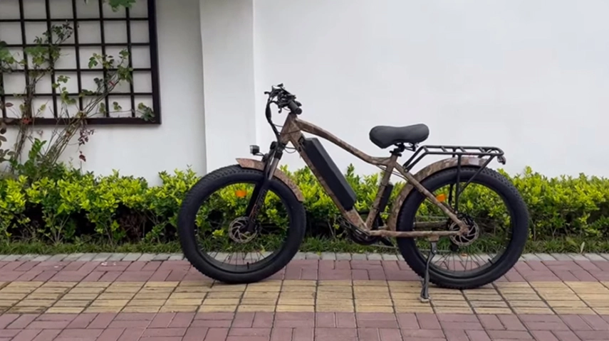 Bicicleta de montaña eléctrica de neumático gordo de motor 48V 750W, venta al por mayor de China