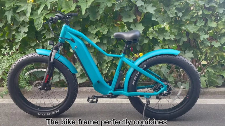 Bicicleta eléctrica Cruiser de neumáticos gordos de largo alcance