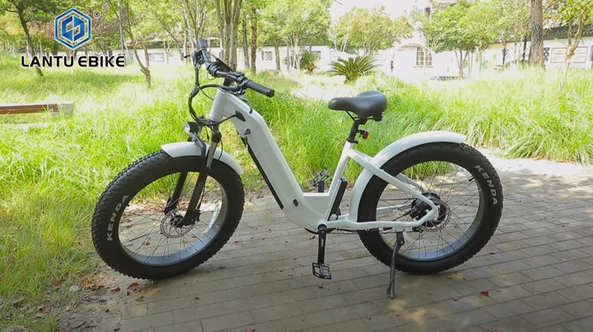 Bicicleta de montaña eléctrica para mujer,