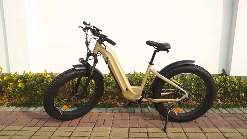 Fabricante de bicicletas eléctricas de montaña de neumáticos gordos de China