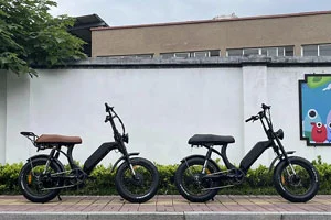 ¿Qué es la batería extraíble Ebike?