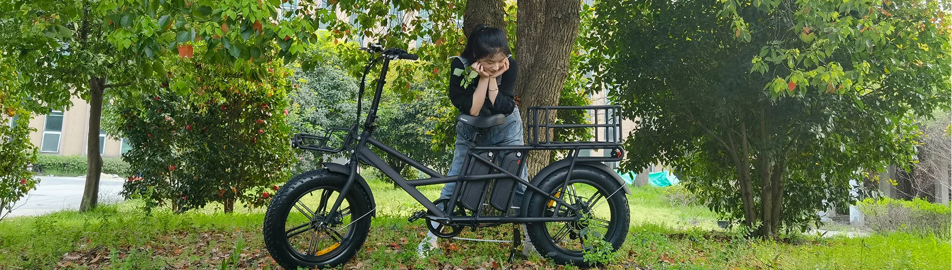 Bicicleta de carga eléctrica