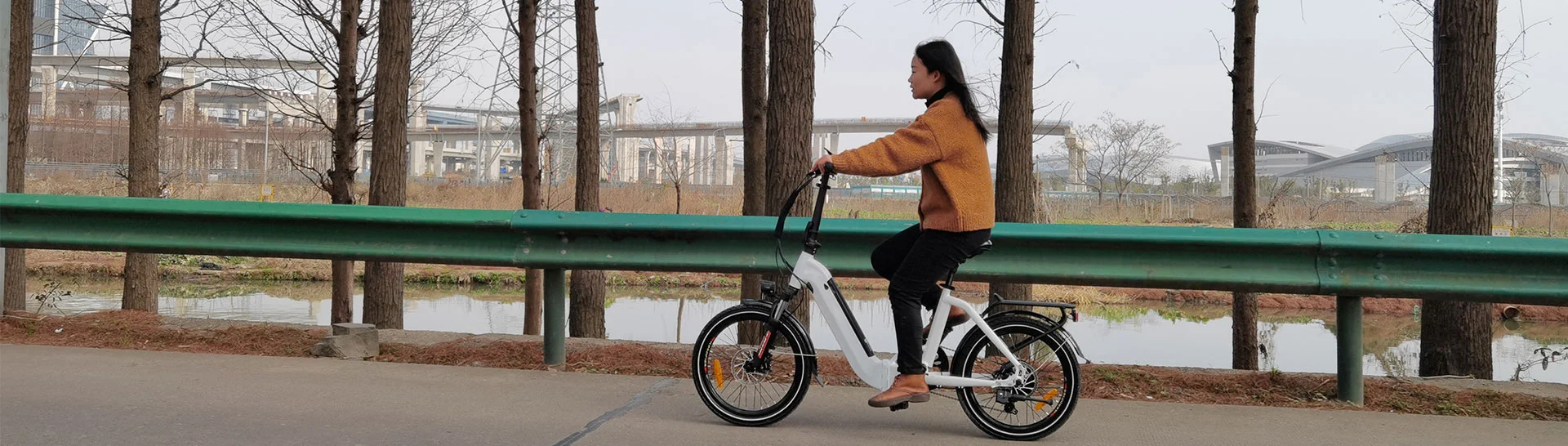 Bicicleta eléctrica de la ciudad