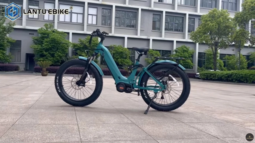 China OEM bicicleta eléctrica con 1000W motor de accionamiento medio