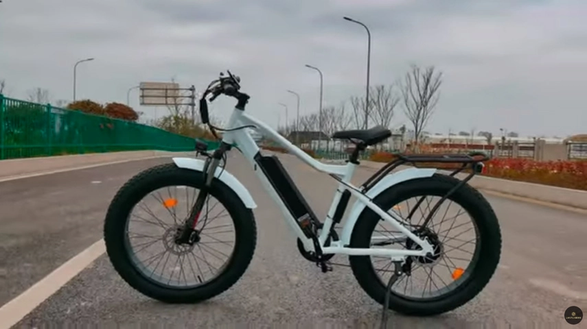 Ebike de neumático gordo personalizado