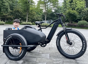 Bicicleta eléctrica personalizada: Muestra tu estilo y gusto únicos