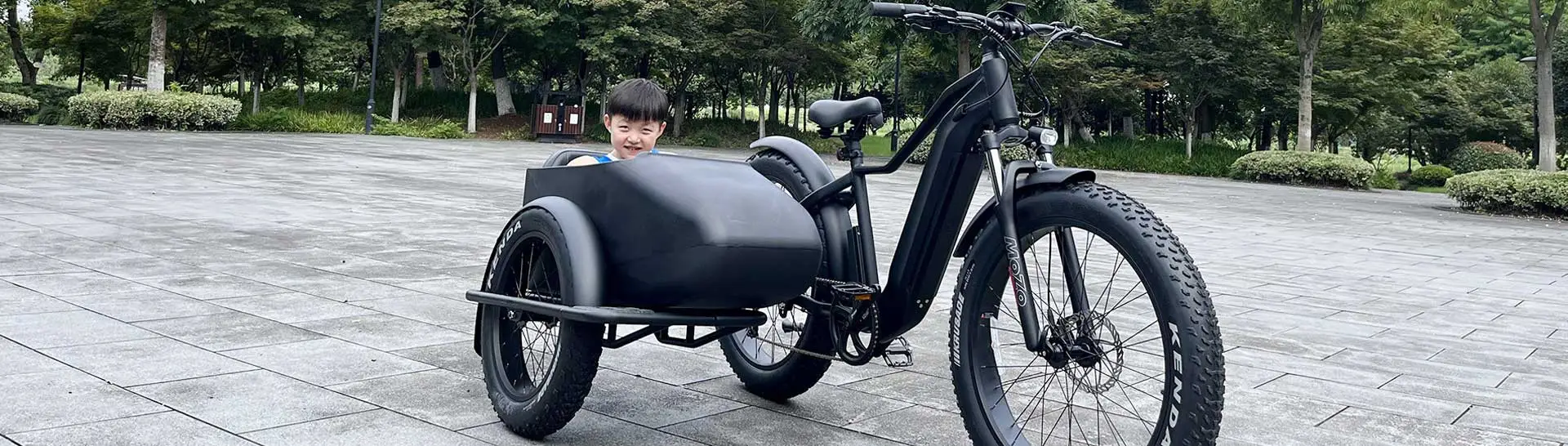 Bicicleta eléctrica con Sidecar