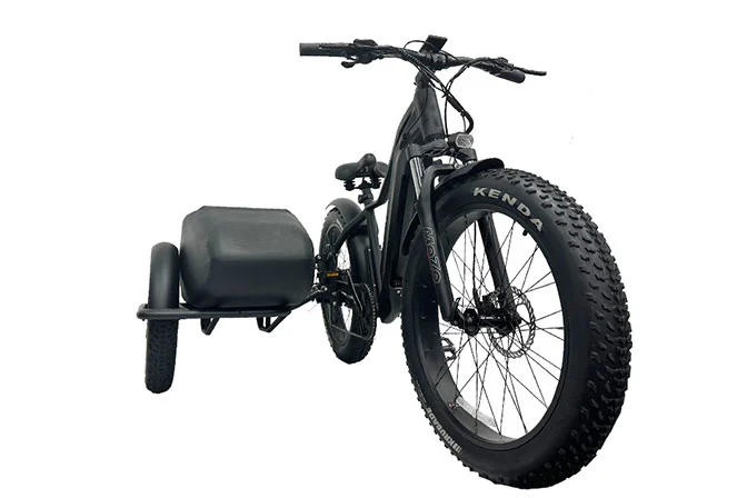 Ebike Sidecar