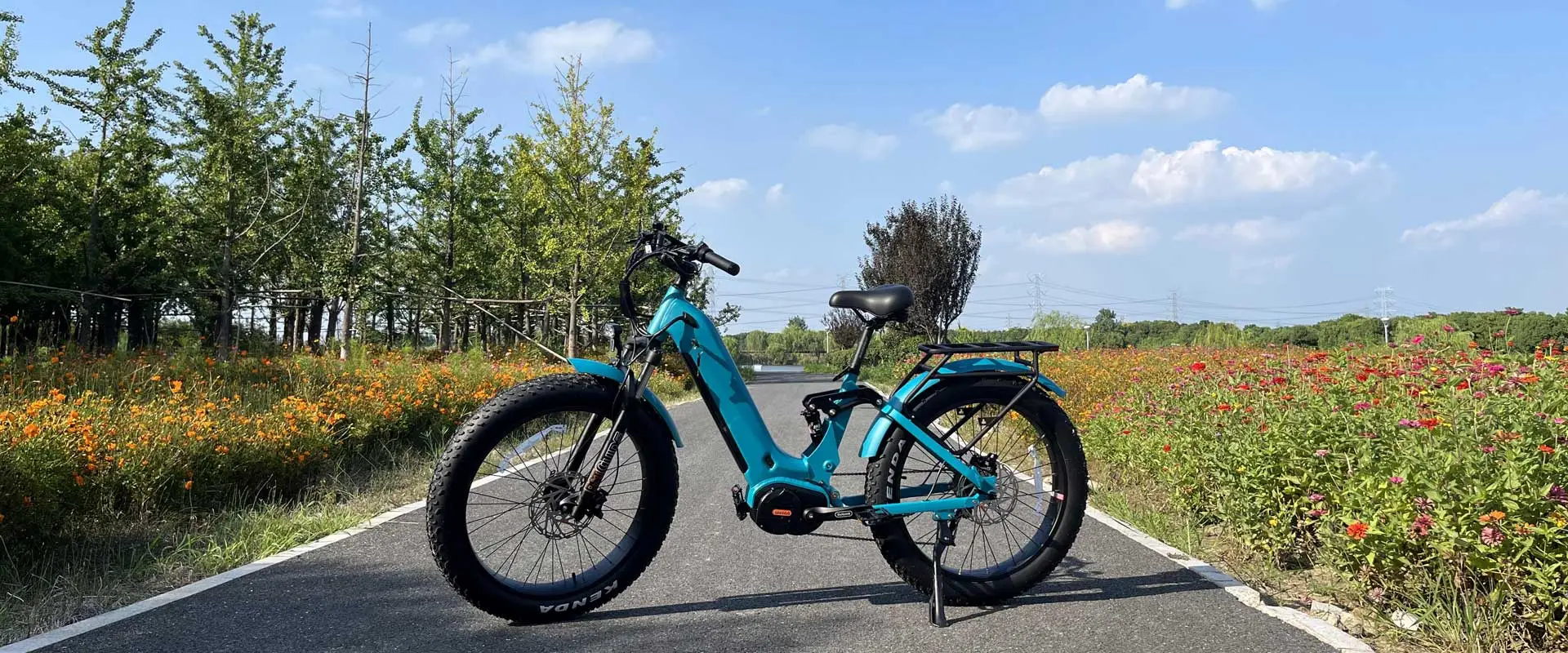 Bicicleta de montaña eléctrica de suspensión completa